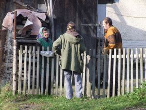 Priatelia Zeme-CEPA ukončili zber údajov o nakladaní s bioodpadmi