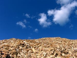 Drevený odpad: MENERT chce vyrábať energetickú štiepku