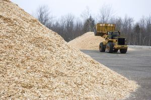 BIOENERGY TOPOĽČANY spustila elektráreň na biomasu