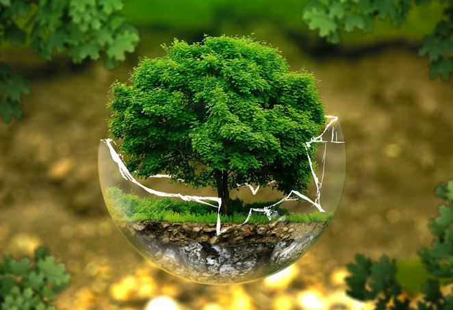 Ako bude vyzerať environmentálna značka EÚ? Zapojte sa do online konzultácie