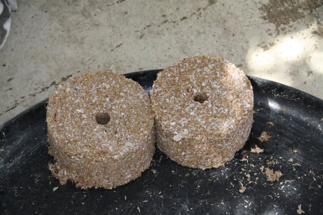 Ruský magnezitový gigant sa u nás vrhne na brikety