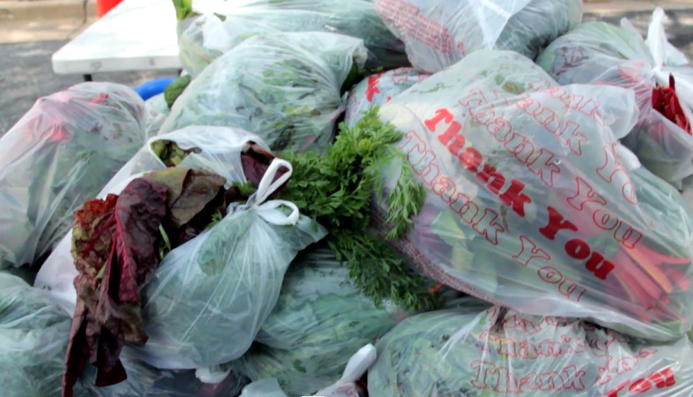 potravinový odpad, food waste